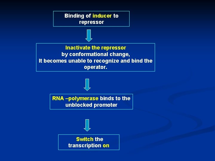 Binding of inducer to repressor Inactivate the repressor by conformational change, It becomes unable