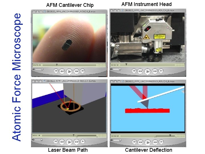 AFM Instrument Head Atomic Force Microscope AFM Cantilever Chip Laser Beam Path Cantilever Deflection