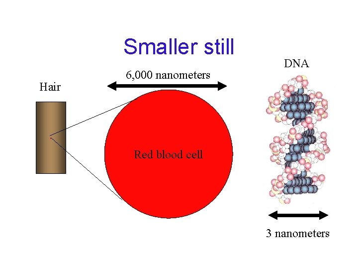 Smaller still Hair 6, 000 nanometers DNA . Red blood cell 3 nanometers 