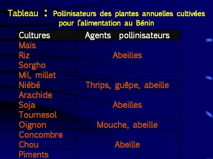 Tableau : Pollinisateurs des plantes annuelles cultivées pour l’alimentation au Bénin Cultures Maïs Riz