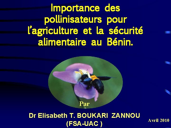 Importance des pollinisateurs pour l’agriculture et la sécurité alimentaire au Bénin. Par Dr Elisabeth