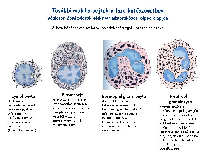 osteoarthritis treatment guidelines 2022 a lábujjak ízületeinek ízületi gyulladása