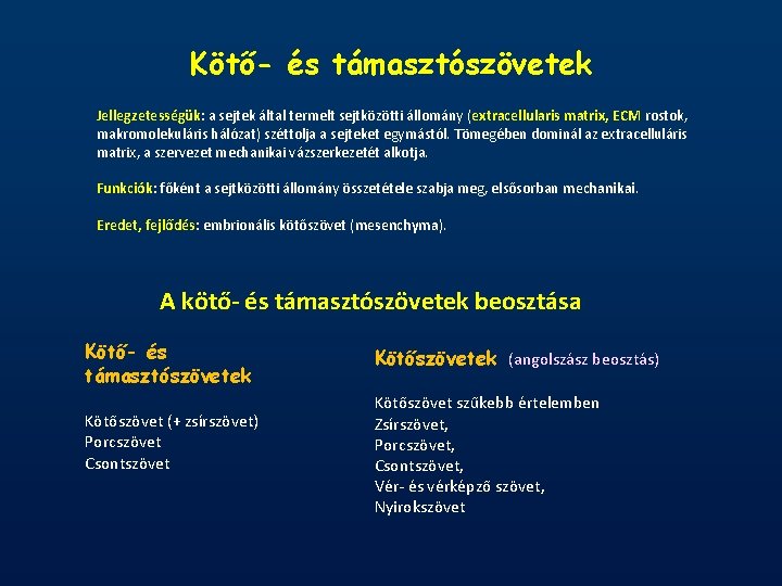 Kötő- és támasztószövetek Jellegzetességük: a sejtek által termelt sejtközötti állomány (extracellularis matrix, ECM rostok,