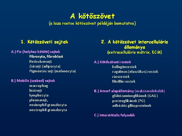 A kötőszövet (a laza rostos kötőszövet példáján bemutatva) 1. Kötőszöveti sejtek A. ) Fix