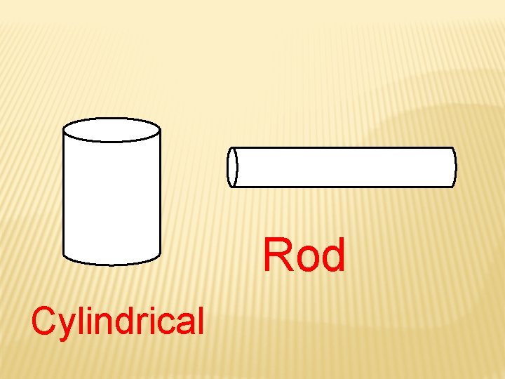 Rod Cylindrical 