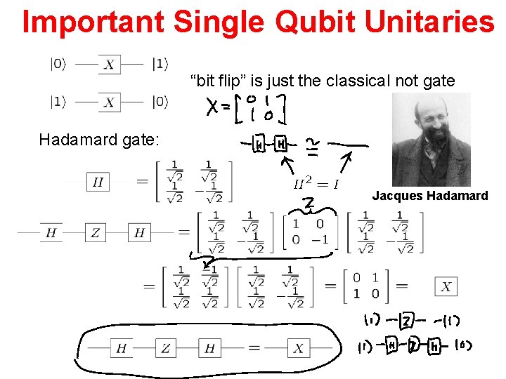 Important Single Qubit Unitaries “bit flip” is just the classical not gate Hadamard gate: