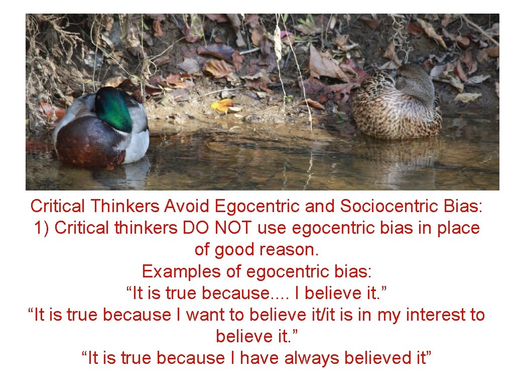 Critical Thinkers Avoid Egocentric and Sociocentric Bias: 1) Critical thinkers DO NOT use egocentric Critical Thinkers Avoid Egocentric and Sociocentric Bias: 1) Critical thinkers DO NOT use egocentric