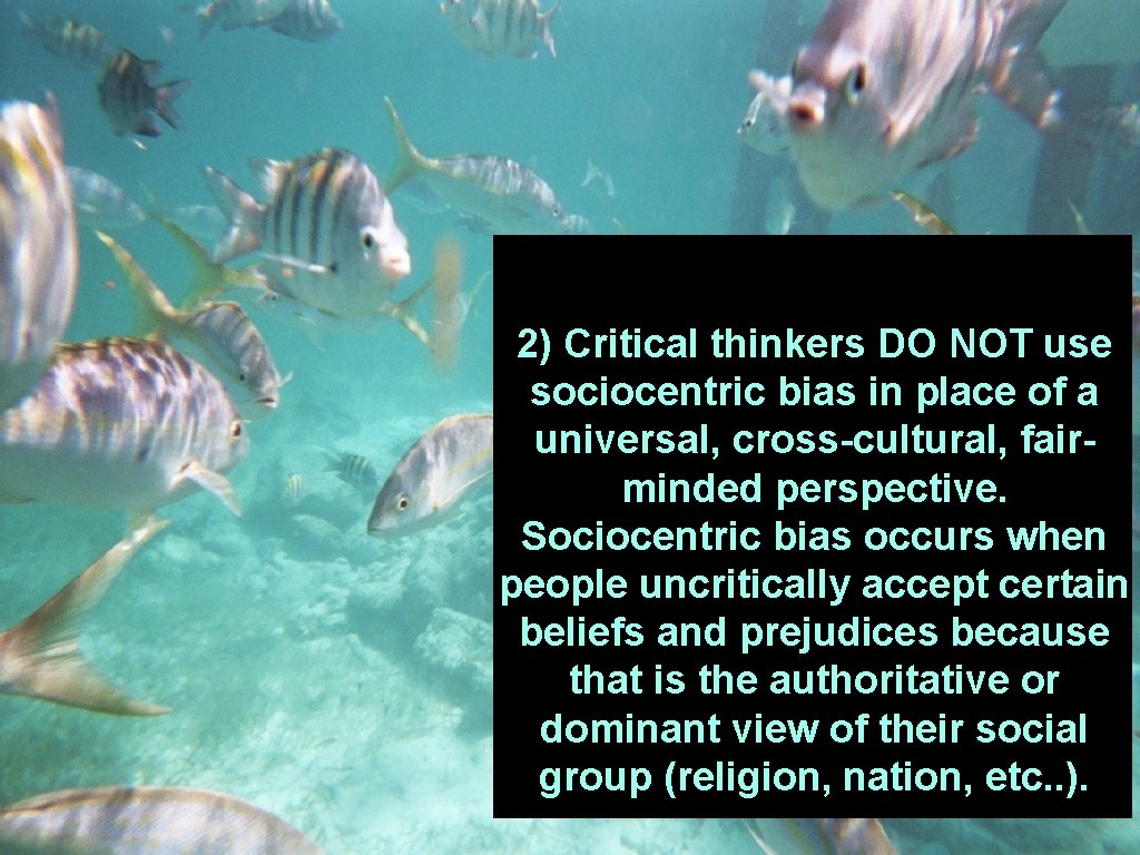 2) Critical thinkers DO NOT use sociocentric bias in place of a universal, cross-cultural, 2) Critical thinkers DO NOT use sociocentric bias in place of a universal, cross-cultural,