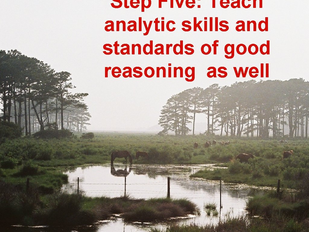 Step Five: Teach analytic skills and standards of good reasoning as well Step Five: Teach analytic skills and standards of good reasoning as well