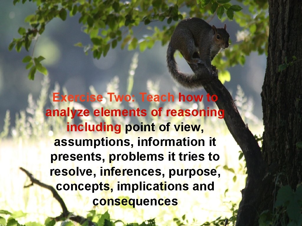 Exercise Two: Teach how to analyze elements of reasoning including point of view, assumptions, Exercise Two: Teach how to analyze elements of reasoning including point of view, assumptions,