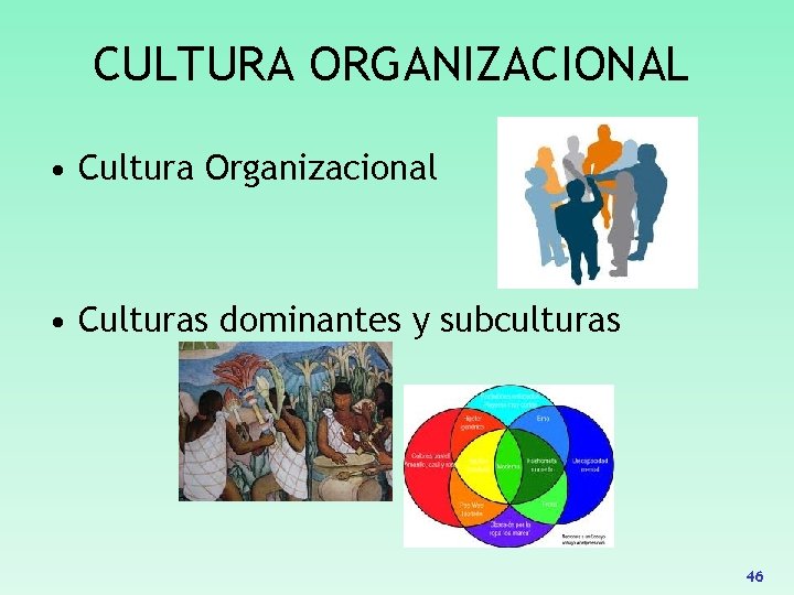 CULTURA ORGANIZACIONAL • Cultura Organizacional • Culturas dominantes y subculturas 46 