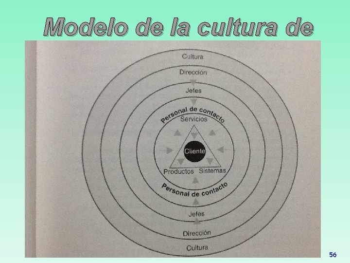 Modelo de la cultura de servicio 56 