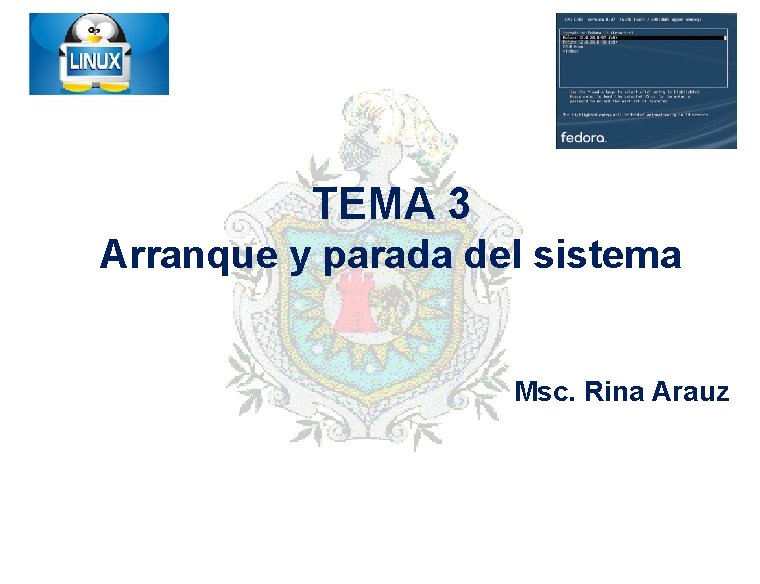 TEMA 3 Arranque y parada del sistema Msc. Rina Arauz 