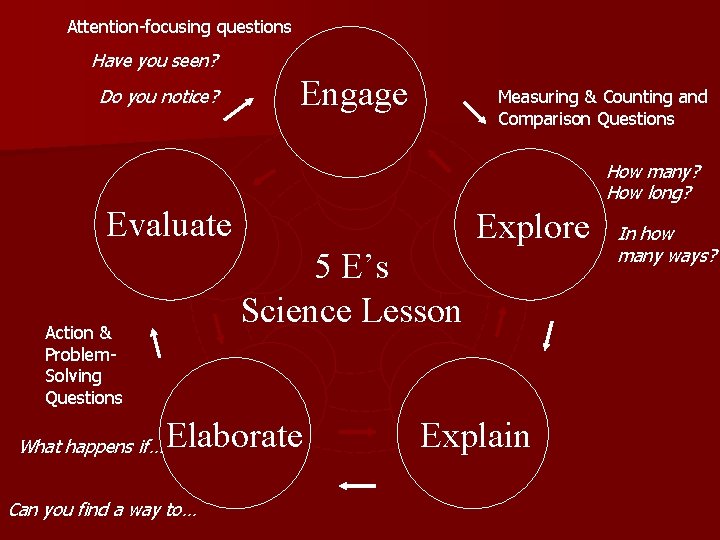 Attention-focusing questions Have you seen? Do you notice? Engage Measuring & Counting and Comparison