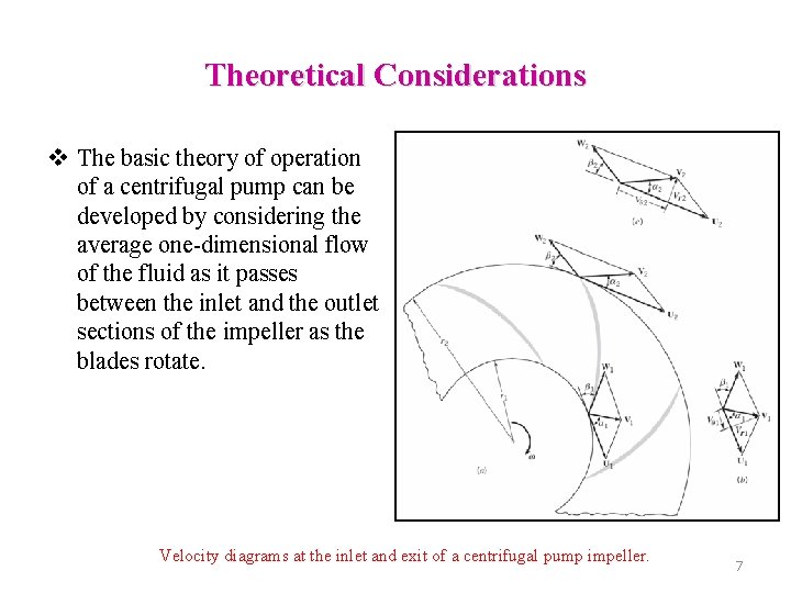 Theoretical Considerations v The basic theory of operation of a centrifugal pump can be