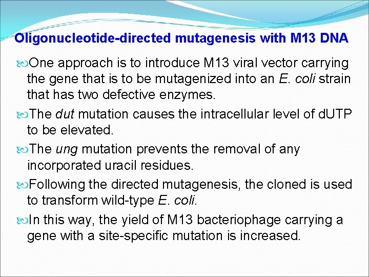 Oligonucleotide-directed mutagenesis with M 13 DNA One approach is to introduce M 13 viral