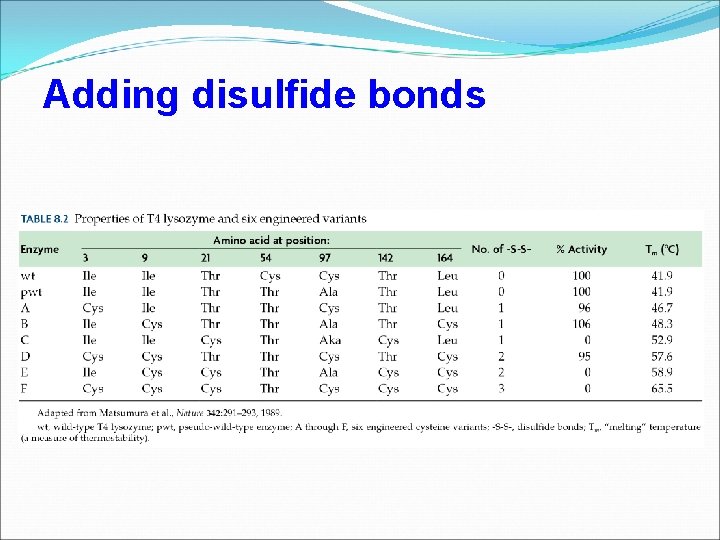 Adding disulfide bonds 