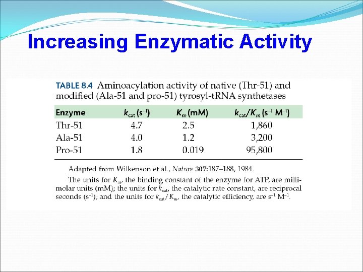 Increasing Enzymatic Activity 