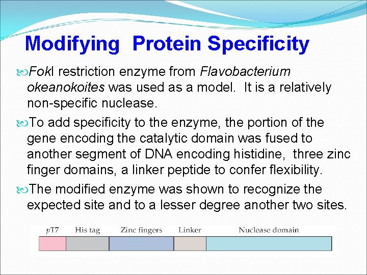 Modifying Protein Specificity Fok. I restriction enzyme from Flavobacterium okeanokoites was used as a