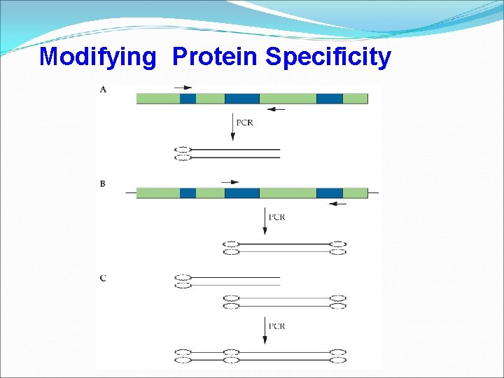 Modifying Protein Specificity 