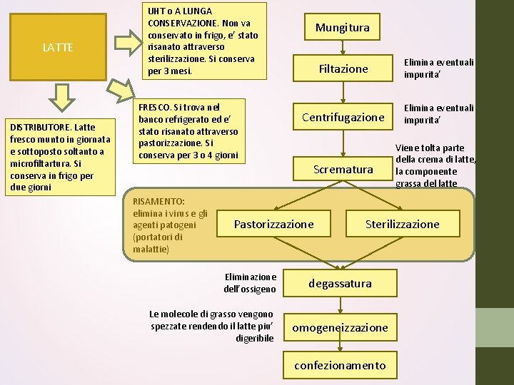 LATTE DISTRIBUTORE. Latte fresco munto in giornata e sottoposto soltanto a microfiltartura. Si conserva