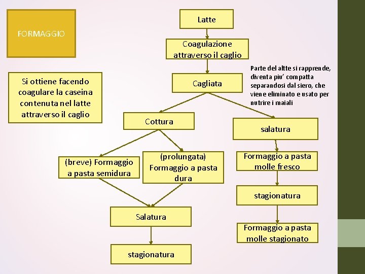 Latte FORMAGGIO Coagulazione attraverso il caglio Si ottiene facendo coagulare la caseina contenuta nel