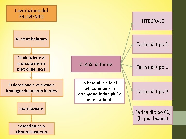 Lavorazione del FRUMENTO INTEGRALE Mietitrebbiatura Eliminazione di sporcizia (terra, pietroline, ecc) Essiccazione e eventuale