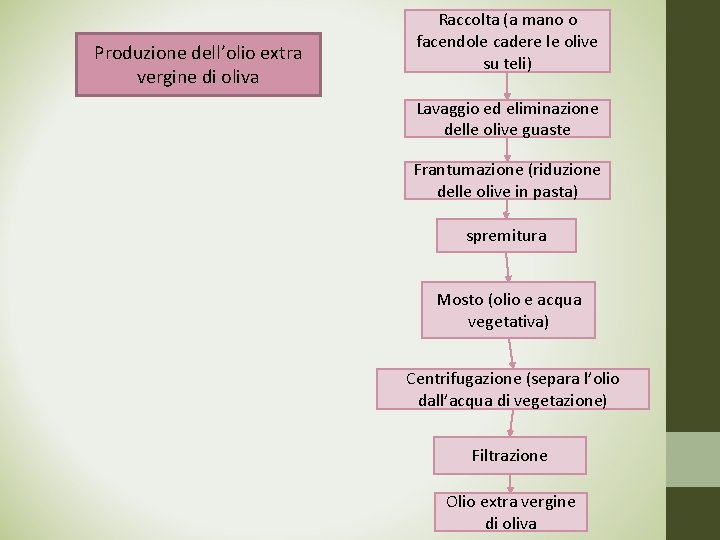Produzione dell’olio extra vergine di oliva Raccolta (a mano o facendole cadere le olive