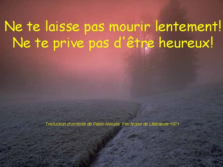 Ne te laisse pas mourir lentement! Ne te prive pas d'être heureux! Traduction d’un Ne te laisse pas mourir lentement! Ne te prive pas d'être heureux! Traduction d’un