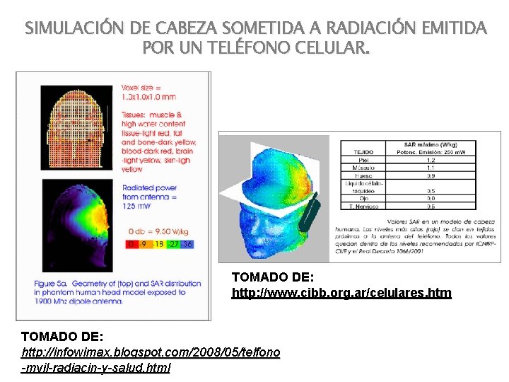 SIMULACIÓN DE CABEZA SOMETIDA A RADIACIÓN EMITIDA POR UN TELÉFONO CELULAR. TOMADO DE: http: