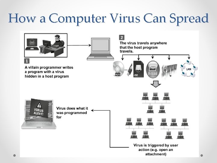 How a Computer Virus Can Spread 