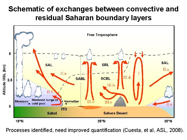 Schematic of exchanges between convective and residual Saharan boundary layers Processes identified, need improved
