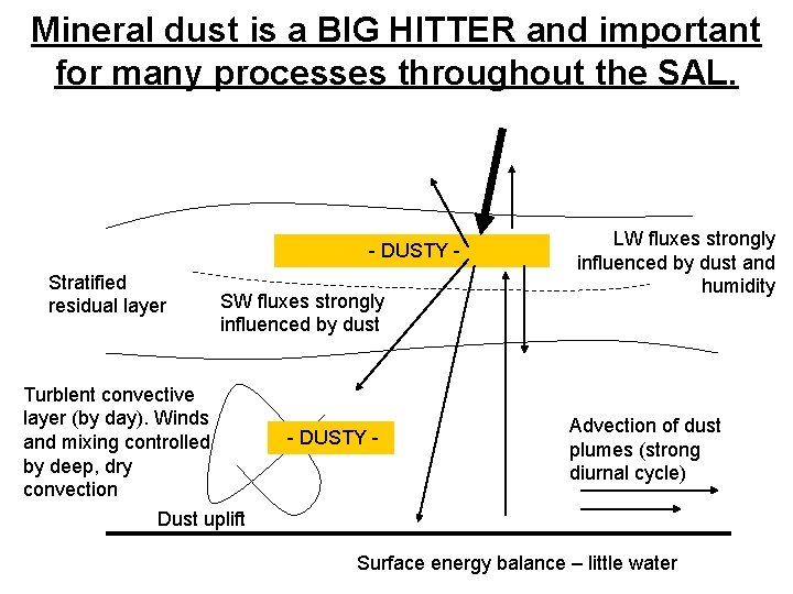Mineral dust is a BIG HITTER and important for many processes throughout the SAL.