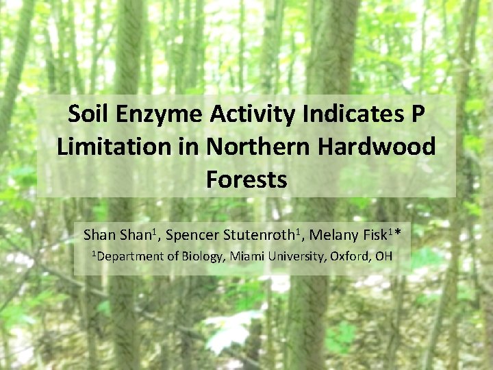 Soil Enzyme Activity Indicates P Limitation in Northern Hardwood Forests Shan 1, Spencer Stutenroth