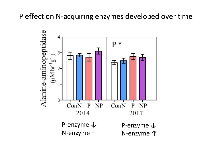 P effect on N-acquiring enzymes developed over time P-enzyme ↓ N-enzyme − P-enzyme ↓