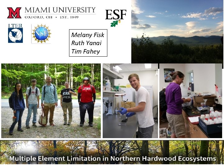 Melany Fisk Ruth Yanai Tim Fahey 