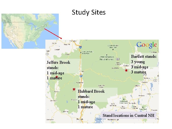 Study Sites Bartlett stands: 3 young 3 mid-age 3 mature Jeffers Brook stands: 1