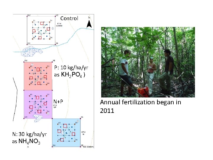 Control P: 10 kg/ha/yr as KH 2 PO 4 ) N+P N: 30 kg/ha/yr