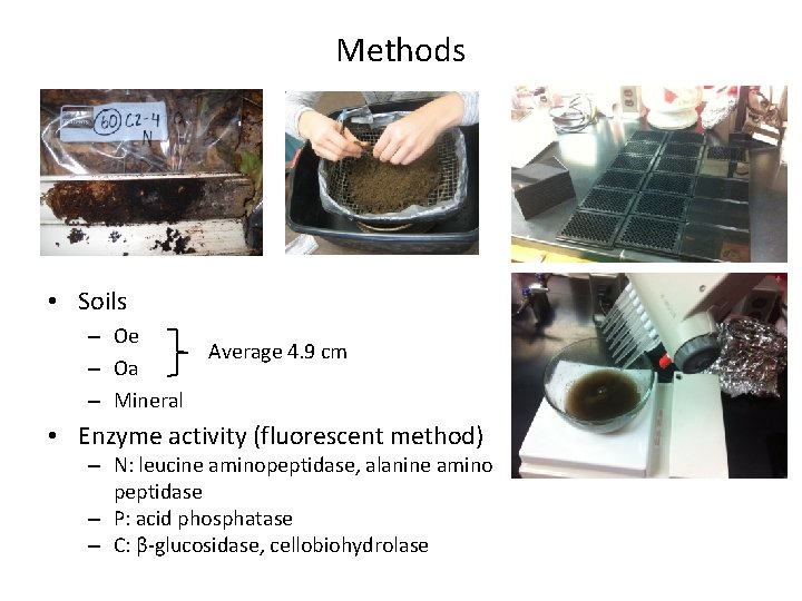 Methods • Soils – Oe – Oa – Mineral Average 4. 9 cm •