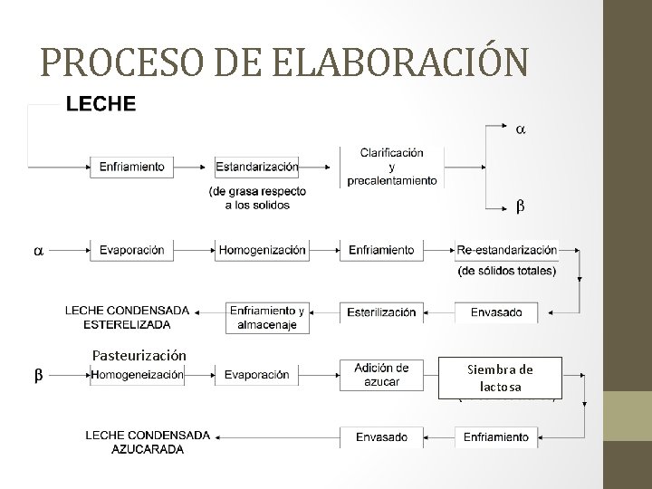 PROCESO DE ELABORACIÓN Pasteurización Siembra de lactosa 