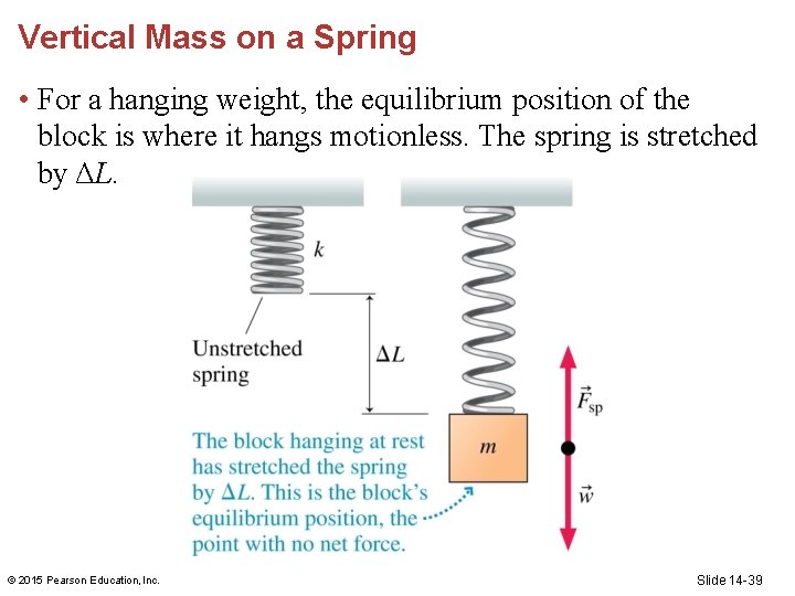 Vertical Mass on a Spring • For a hanging weight, the equilibrium position of