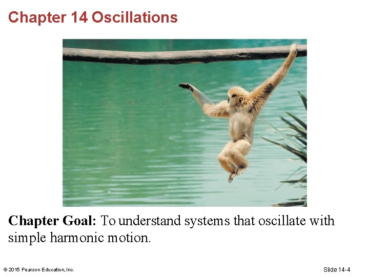 Chapter 14 Oscillations Chapter Goal: To understand systems that oscillate with simple harmonic motion.