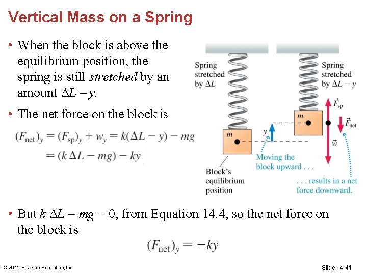 Vertical Mass on a Spring • When the block is above the equilibrium position,