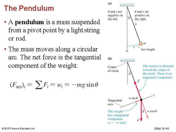 The Pendulum • A pendulum is a mass suspended from a pivot point by