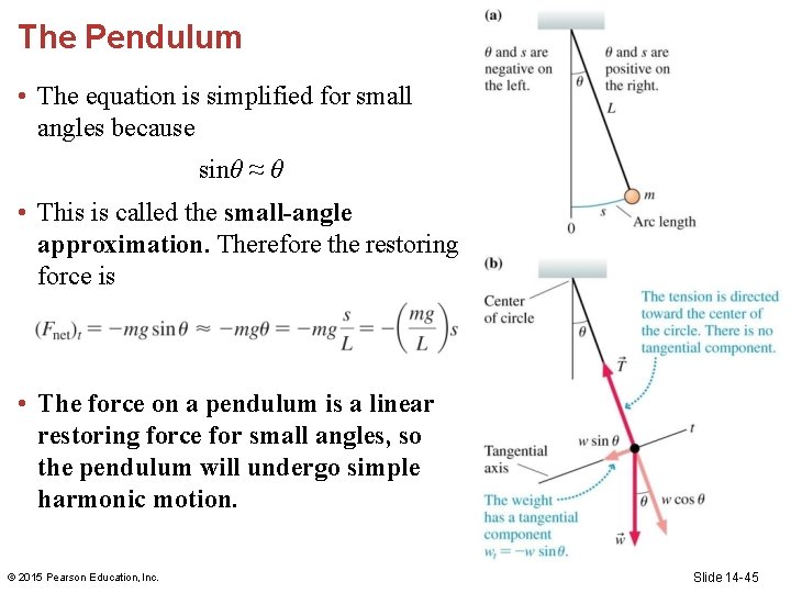 The Pendulum • The equation is simplified for small angles because sinθ ≈ θ