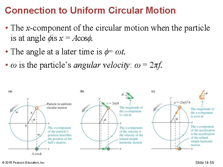 Connection to Uniform Circular Motion • The x-component of the circular motion when the