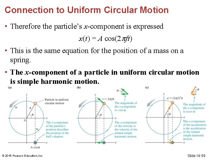 Connection to Uniform Circular Motion • Therefore the particle’s x-component is expressed x(t) =