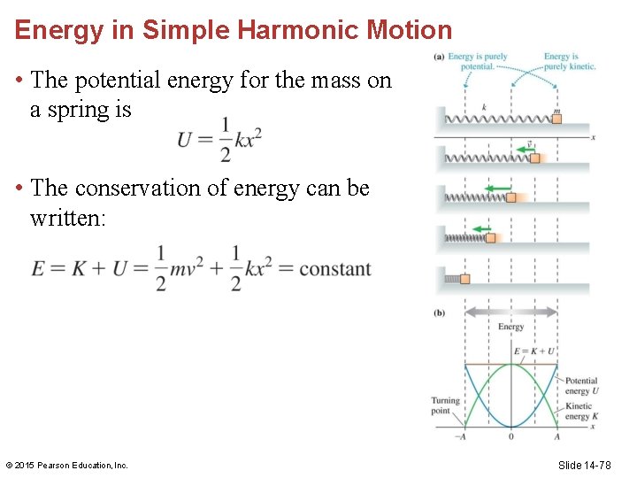 Energy in Simple Harmonic Motion • The potential energy for the mass on a