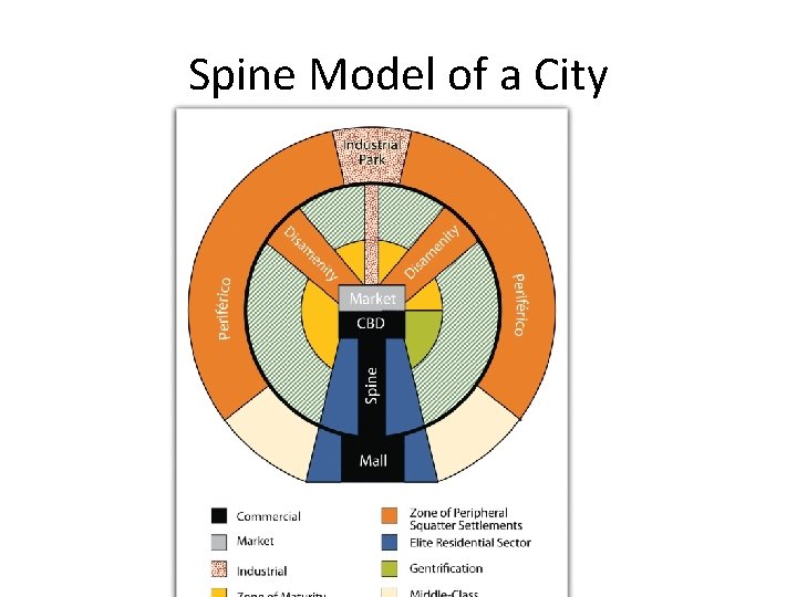 Spine Model of a City 
