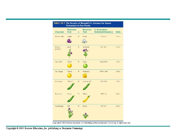 Copyright © 2005 Pearson Education, Inc. publishing as Benjamin Cummings 